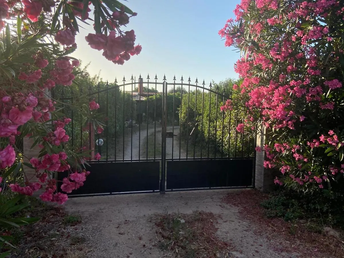 Prázdninový dům Vila Casa Vacanze Gli Oleandri Alghero
